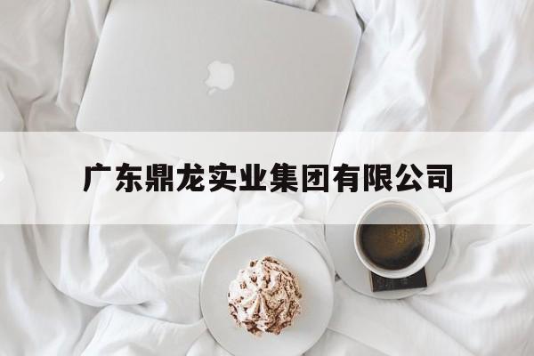 广东鼎龙实业集团有限公司(广东鼎龙实业集团有限公司电话)