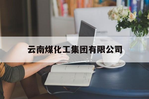 云南煤化工集团有限公司(云南煤化工集团有限公司战略投资管理部原副部长杨勇)