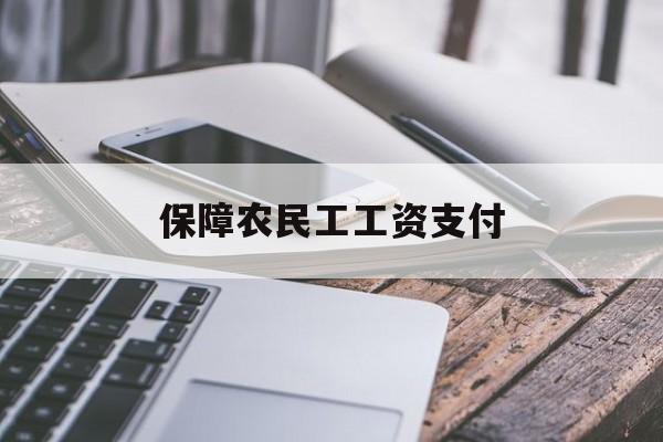 保障农民工工资支付(保障农民工工资支付条例原文)