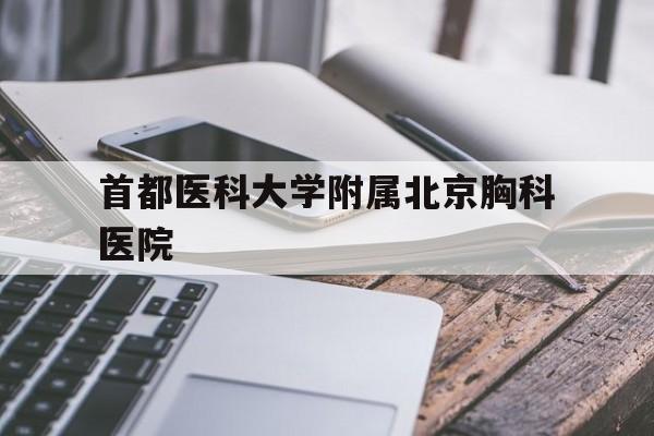 首都医科大学附属北京胸科医院(首都医科大学附属北京胸科医院危房改建项目)