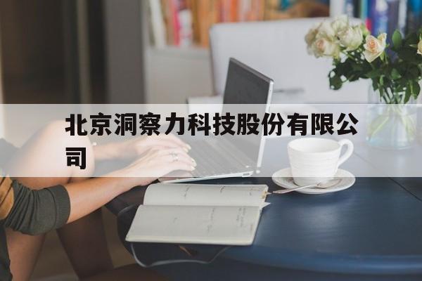 北京洞察力科技股份有限公司(北京洞察力科技股份有限公司是外包吗)