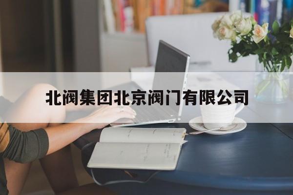 北阀集团北京阀门有限公司(北阀集团北京阀门有限公司招聘)