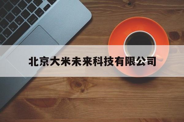 北京大米未来科技有限公司(北京大米未来科技有限公司怎么样)